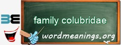 WordMeaning blackboard for family colubridae